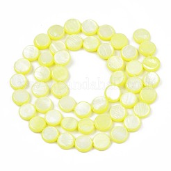 Chapelets de perles en coquille d'eau douce &nbsp;SHEL-T009-B16-01