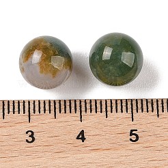 Perline a sfera in agata indiana naturale senza foro&nbsp;G-K353-04A-09