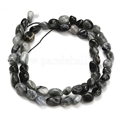 Chapelets de perles en pierre naturelle d'œil d'aigle&nbsp;G-D108-A02-04