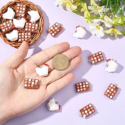 10pcs 2 Arten undurchsichtige Harzanhänger&nbsp;RESI-YW0005-11
