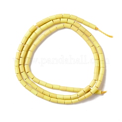 Chapelets de perles en turquoise synthétique&nbsp;G-K327-03