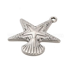Pendentifs en acier inoxydable 304&nbsp;STAS-P417-04A-P