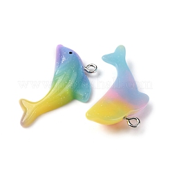 Pendentifs en résine opaque&nbsp;RESI-Z036-01P