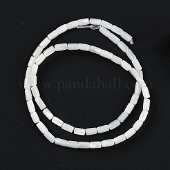 Natürlichen Süßwasser-Muschelperlen Stränge&nbsp;BSHE-H109-16