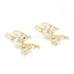 Aluminium Anhänger & Charms&nbsp;PALLOY-M183-02G-RS