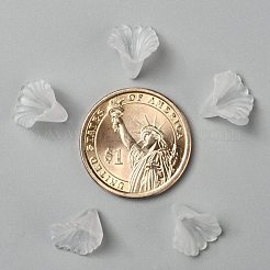 Abalorios de acrílico transparentes&nbsp;X-PL622-9