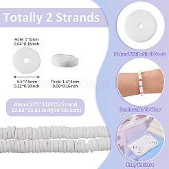 2 hebra de cuentas de concha blanca natural&nbsp;BSHE-TA0001-38