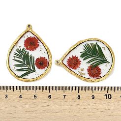 Pendentifs en acier inoxydable 304 avec placage ionique (IP)&nbsp;STAS-D193-11G-01
