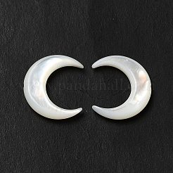 Shell perle bianche naturali&nbsp;BSHE-E026-11