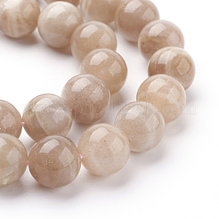 Natürliche sunstone Perlen Stränge&nbsp;X-G-G099-10mm-14