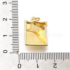 Messing Anhänger & Charms&nbsp;KK-L225-048G