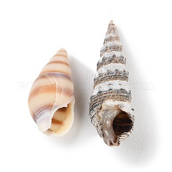 Natürliche Muschelschale&nbsp;BSHE-Z003-43