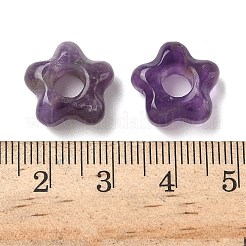 Natürliche Amethyst europäischen Perlen&nbsp;G-C252-02G