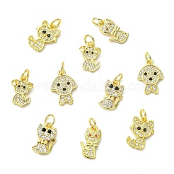 10 pièce 5 styles chien et chat en laiton micro pavé de zircones cubiques transparentes&nbsp;KK-CJ0004-39