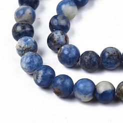 Perline sodalite naturale fili&nbsp;G-S279-10-6mm