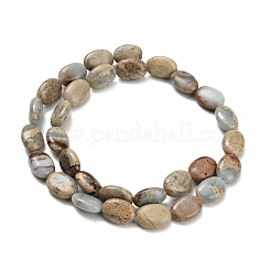 Natürliche Aqua Terra Jaspis Perlen Stränge&nbsp;G-Z110-G01-10x14mm