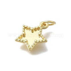 Encantos de latón&nbsp;KK-D431-046G