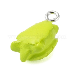 Pendentifs en résine opaque&nbsp;RESI-Z014-01J