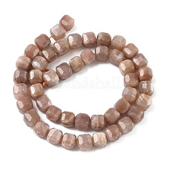 Natürliche sunstone Perlen Stränge&nbsp;G-C267-A08