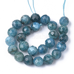 Perline apatite naturale fili&nbsp;G-S345-10mm-008