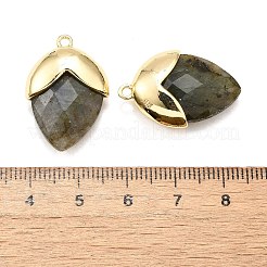 Natur Labradorit Anhänger&nbsp;G-U019-03B-07