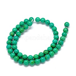 Fili di perle rotonde di magnesite naturale&nbsp;TURQ-E022-38A-8mm