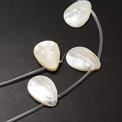 Fili di perle di conchiglia trochid naturale / trochus&nbsp;X-SSHEL-K009-12
