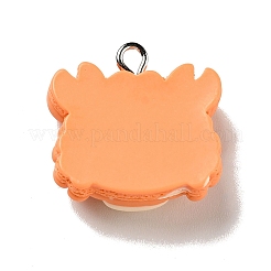 Pendenti in resina opaca&nbsp;LS-X-RESI-G043-E04-B
