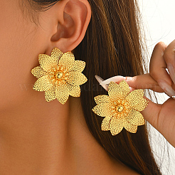Aretes de hierro para mujer&nbsp;RH0706-3