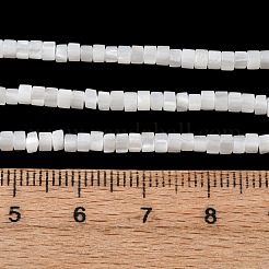 Eau douce naturelle de coquillage perles brins&nbsp;X-SHEL-K006-72C