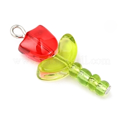 5 Stück transparente Bunte Malerei-Anhänger in 5 Farben&nbsp;PALLOY-JF04462-02