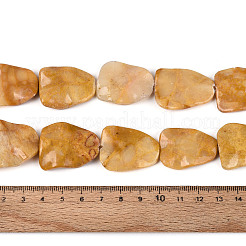 Naturperlen Stränge mookaite&nbsp;G-T143-20C