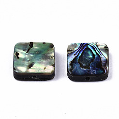 Natürliche Abalone-Muschel / Paua-Muschelperlen&nbsp;SSHEL-T014-12B