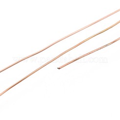 10 m 304 Edelstahldraht&nbsp;TWIR-N005-0.4mm-RG