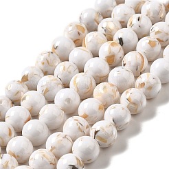 Fili di perle sintetiche turchesi e conchiglie montate&nbsp;G-D482-01E-05
