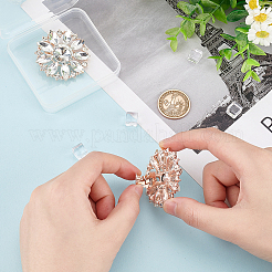 2 Stück Legierungs-Strass-Schuhdekorationen&nbsp;AJEW-FG0003-72B