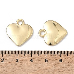 Pendente in lega&nbsp;PALLOY-A025-02G