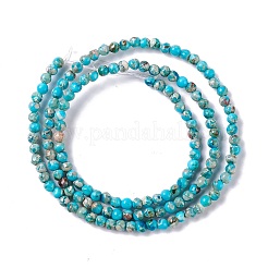 Natürliche regalite / imperial jasper / sea sediment jasper beads stränge&nbsp;G-K317-A17-01