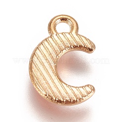 Zink Legierung Anhänger & Charms&nbsp;X-ENAM-I023-04KCG-02