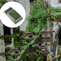 Harzsimulationsmodell der Wurzelrebenvegetation&nbsp;DIY-WH20053-65E