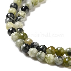 Natur Xiuyu Jade Perlen Stränge&nbsp;G-H298-A08-01