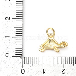 Pendentifs en laiton zircon cubique pavé&nbsp;KK-U062-60G