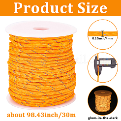 30 m leuchtende Polyesterschnur&nbsp;AJEW-SP0004-86B