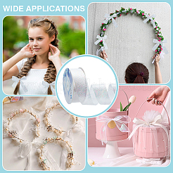 Ruban polyester irisé 18m&nbsp;OCOR-WH0097-10A