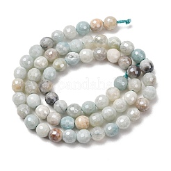 Colliers de perles d'amazonite naturelle en forme de fleur&nbsp;G-B191-A03-6mm