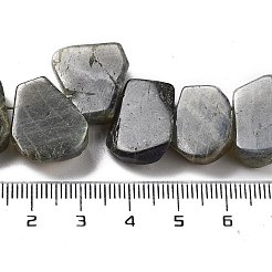 Natur Labradorit Perlen Stränge&nbsp;G-P528-K10-01