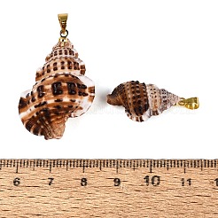 Anhänger aus Messing und natürlicher Spiralmuschel&nbsp;SHEL-Q029-24KCG