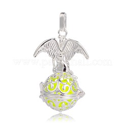 Pendentifs cage creux en laiton plaqué couleur argent&nbsp;LS-KK-J248-04S