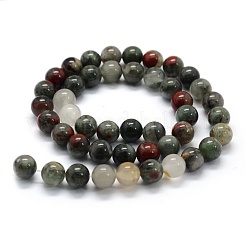 Naturali africane perline Bloodstone fili&nbsp;X-G-G763-08-6mm