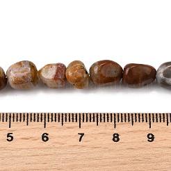 Natürliche versteinerte Holzperlen Stränge&nbsp;G-L621-C11-01